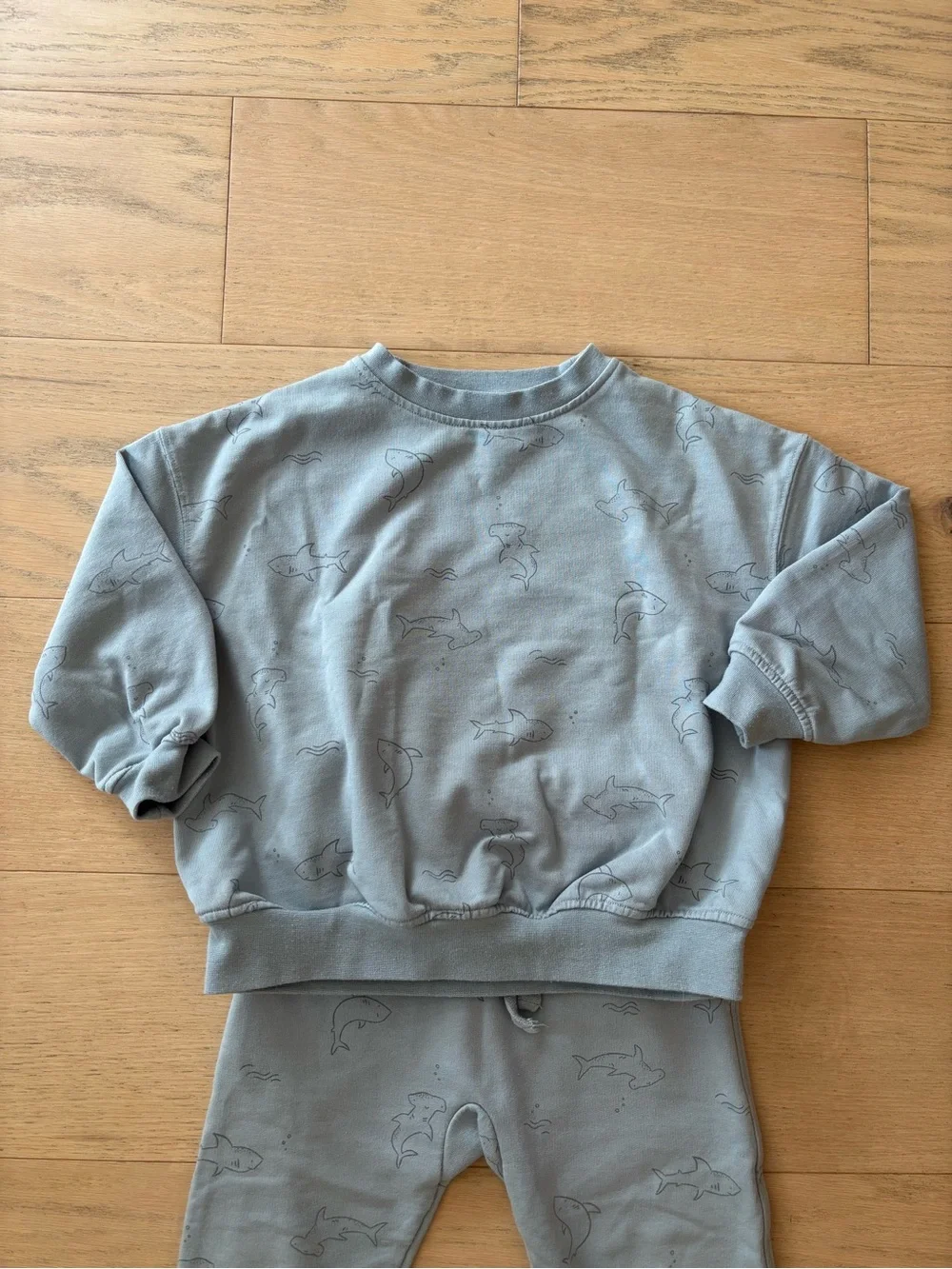 Rylee+crew blue shark print sweatshirt set, size 2-3Y